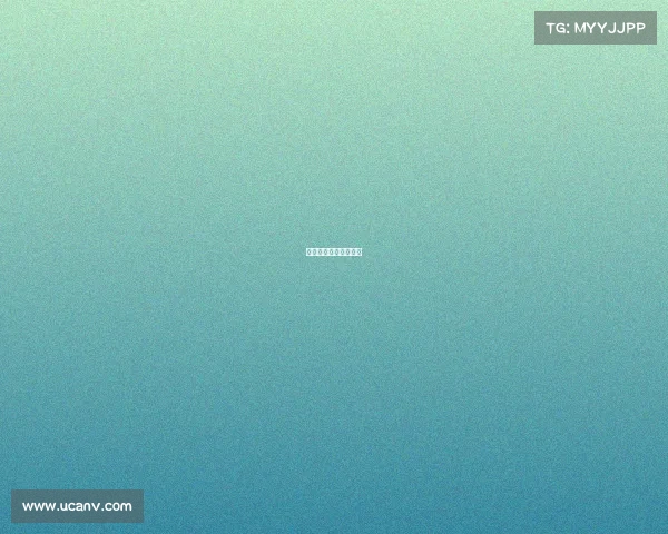 深圳足球队赛事有哪些